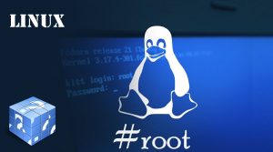Linux Article