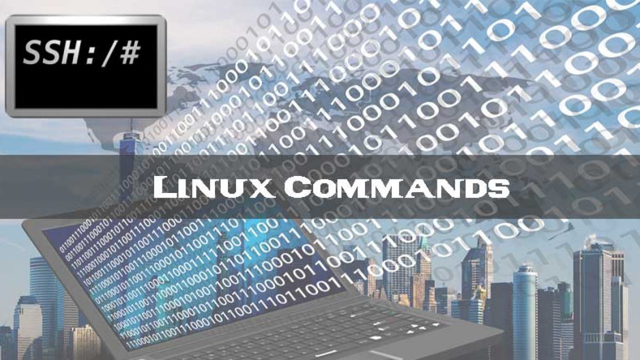 Linux And Unix Chmod Command Tutorial And Examples Xsofthost