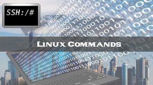 Linux Shell Commands