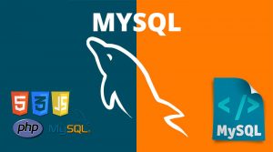 MySQL Article