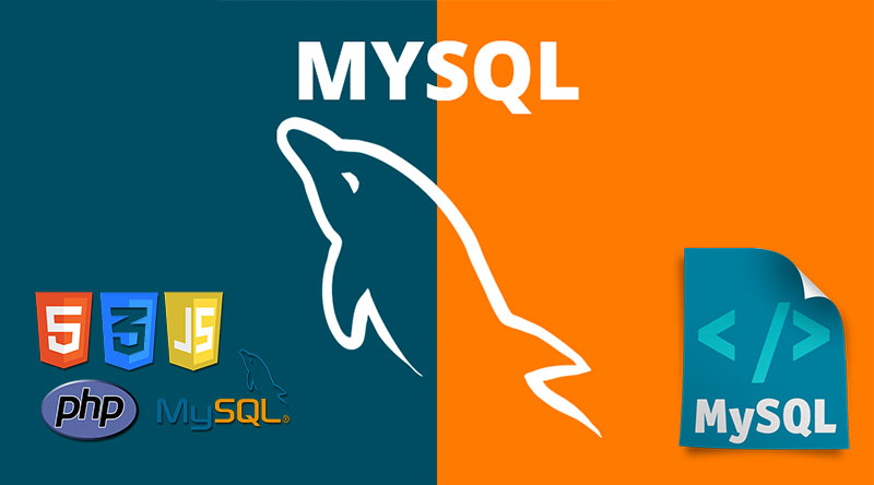MySQL Article