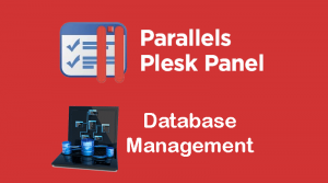 Plesk Databases